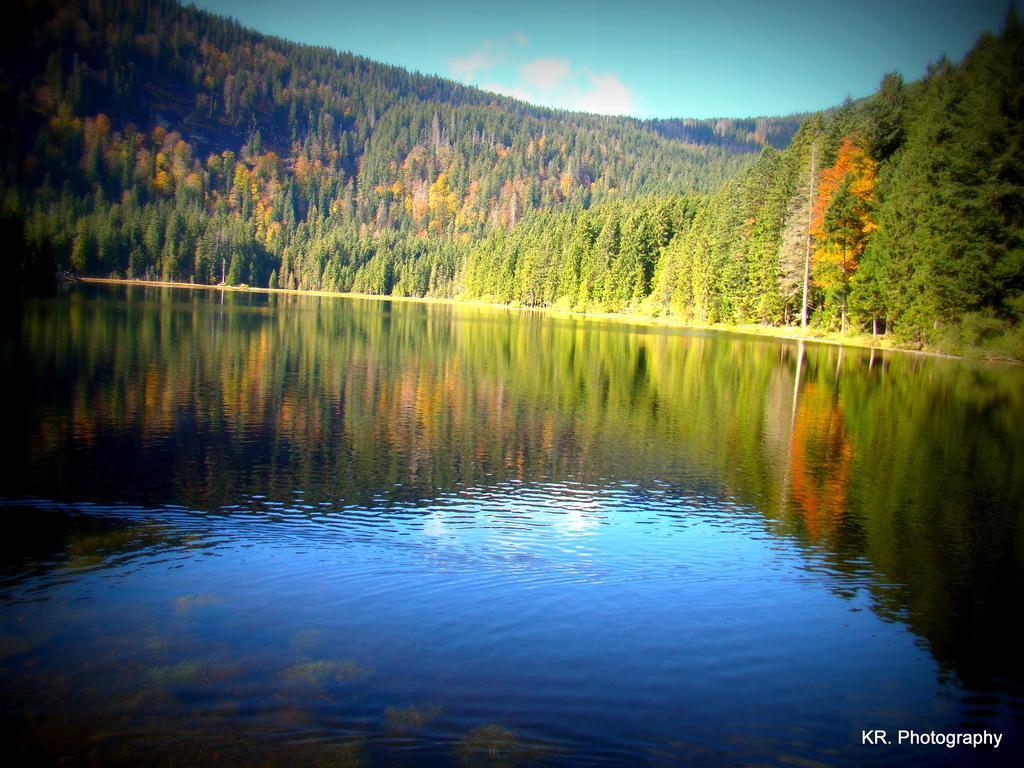 Готель Haus Leutner Боденмайс Екстер'єр фото